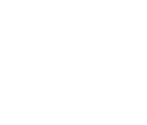 South West NetworKing